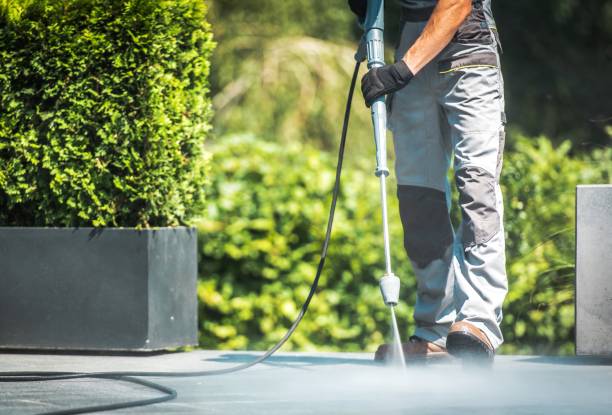 Best Animal Enclosure Cleaning  in Trophy Clu, TX