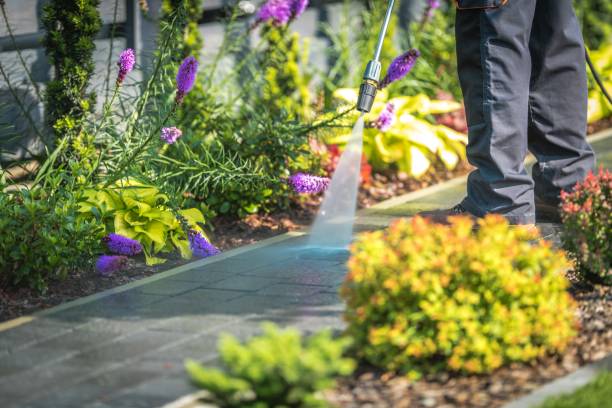 Best Winterizing Services  in Trophy Clu, TX